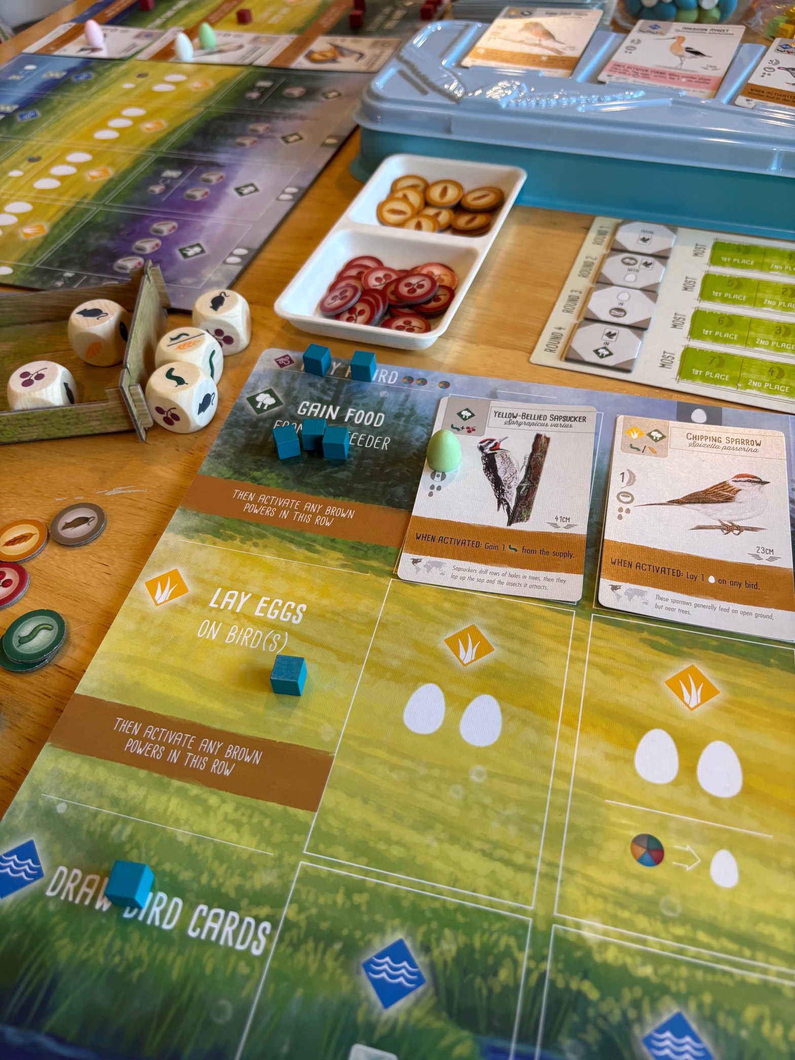 Wingspan game scene.