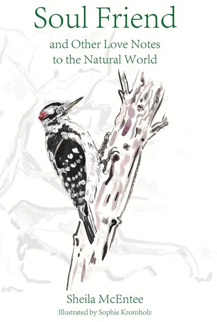 Cover of Soul Friend book, with a illustration of a hairy woodpecker on a tree branch.