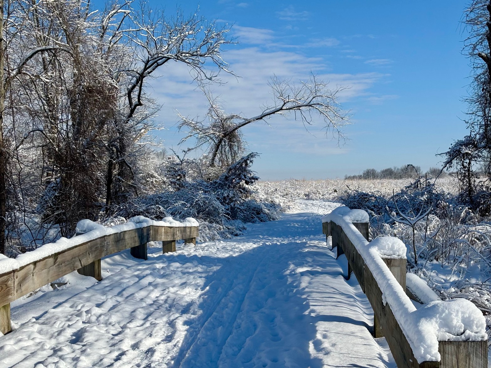 A snow covered bridge leads on a gentle incline past trees on the right and an open field straight ahead.