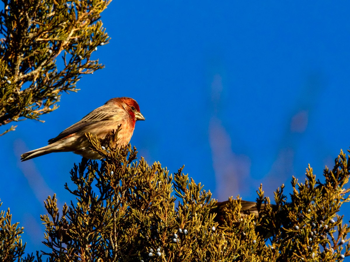 Slip-sliding into the new&nbsp;year