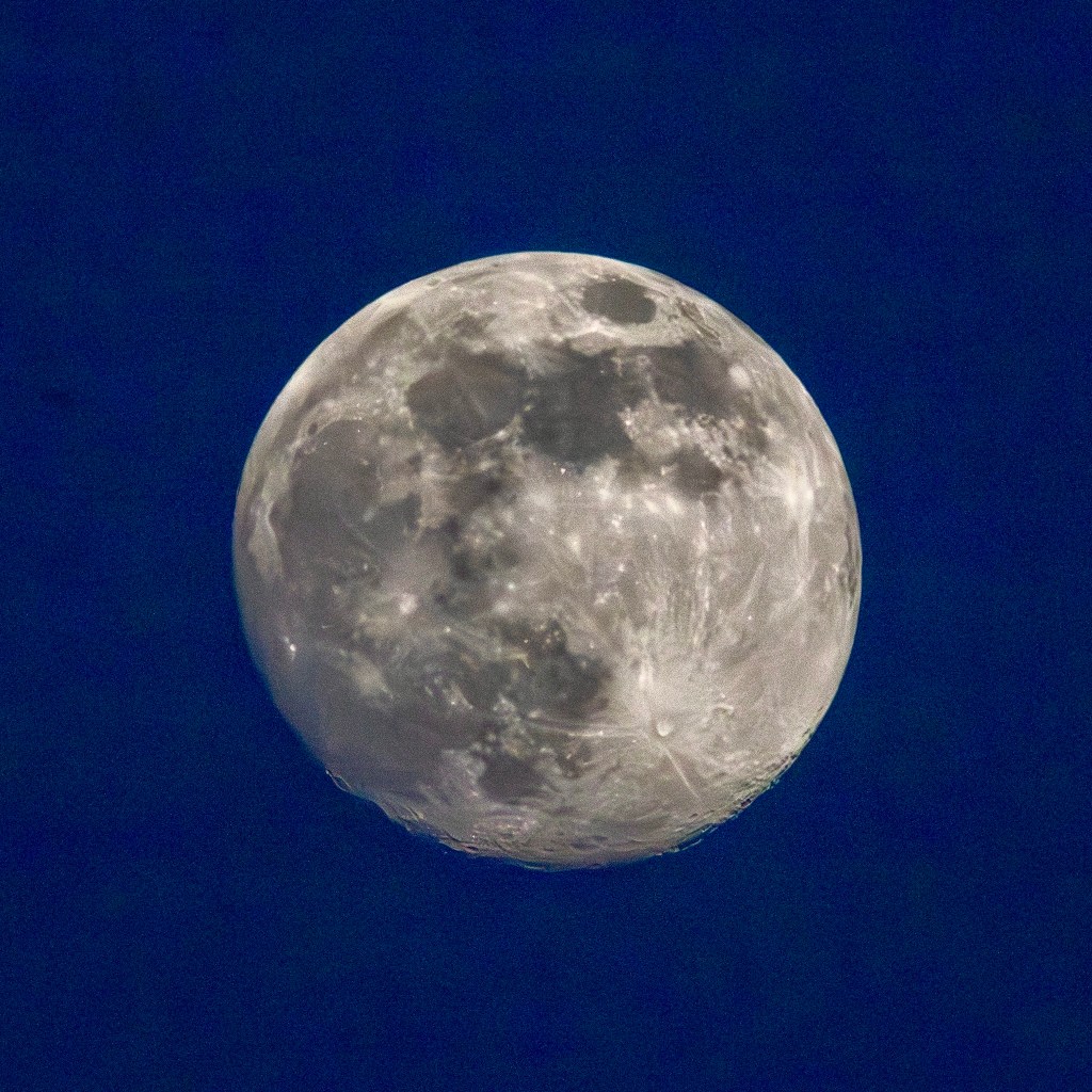 The moon, nearly full, floats in a deep blue sky.