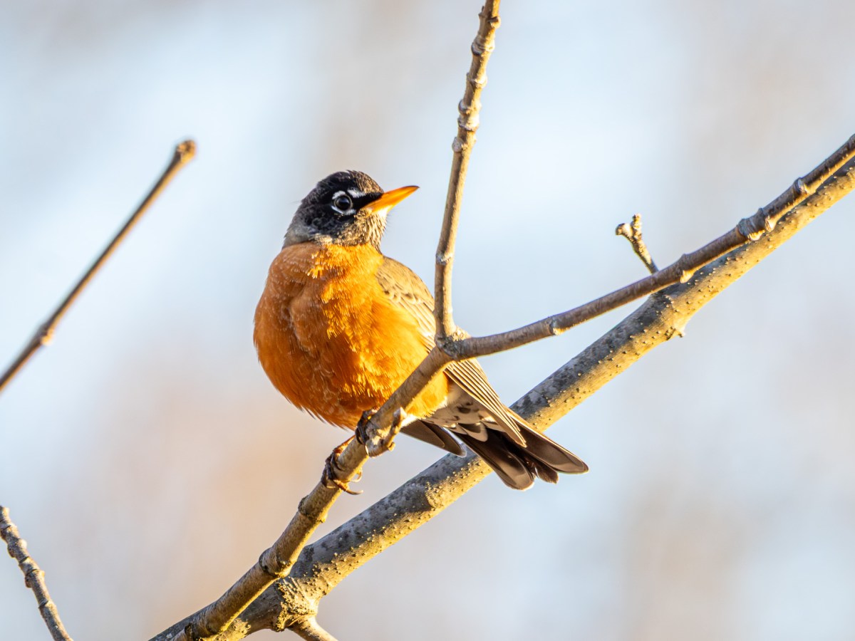 A walk in the&nbsp;sunshine