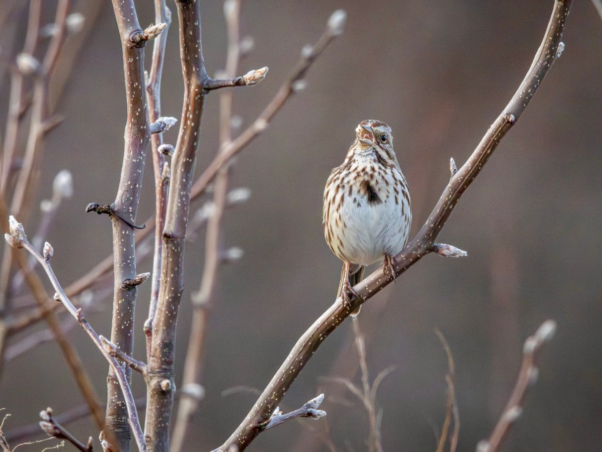 Stretching my routes at the Mercer Meadows Pole&nbsp;Farm