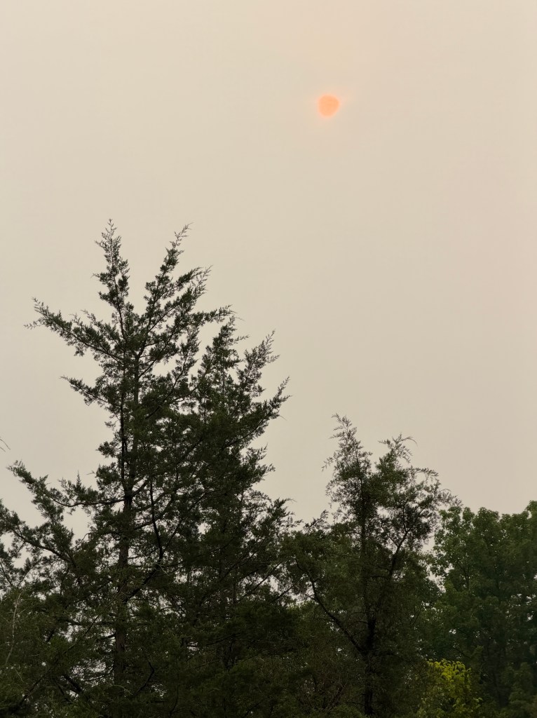 The sun appears as an orange disk in a brown-tinted sky above a few evergreen trees.